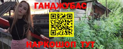 прущие грибы Можга