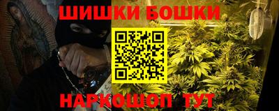 прущие грибы Можга