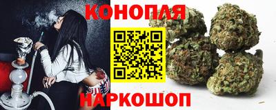 гашик Можайск