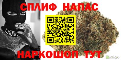 прущие грибы Можга
